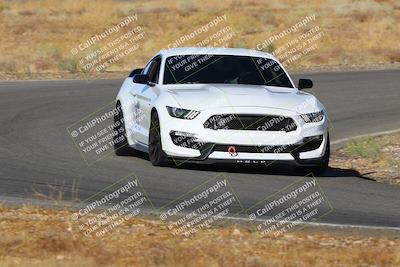 media/Sep-29-2024-Turn8 Trackdays (Sun) [[1cf3b4bb64]]/Purple/Session 1 (Turn 3)/